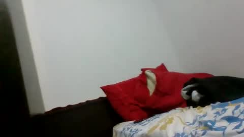 dannoninho online show from 03.22.26