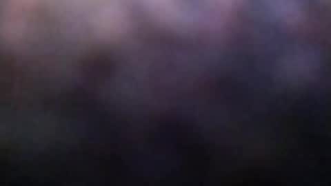 dannowisc online show from 02.23.26