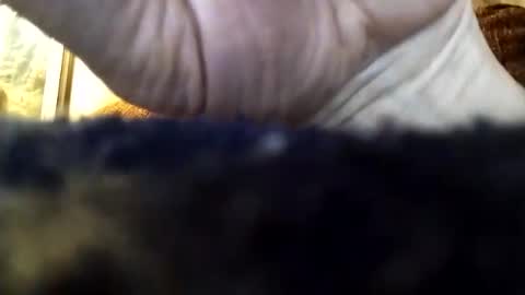 dannowisc online show from 04.05.26