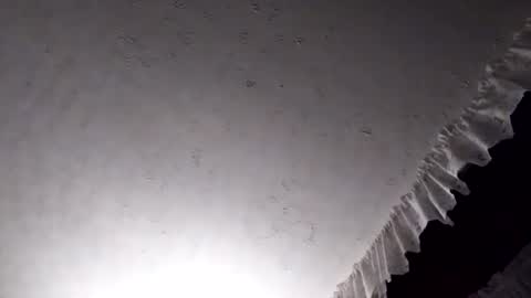 dannowisc online show from 04.07.26