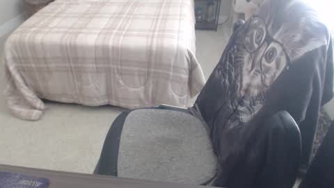 Danny bear online show from 03.09.25