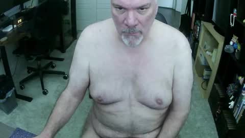 Danny bear online show from 03.08.26