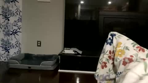 dannyboy621 online show from 10.17.25