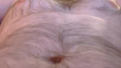 Master Dan online show from 03.26.26