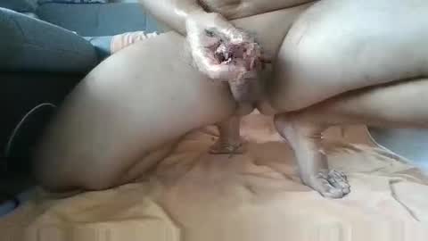 Daniel online show from 12.04.25