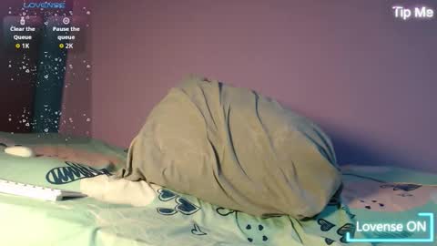 dante_bear online show from 11.27.25