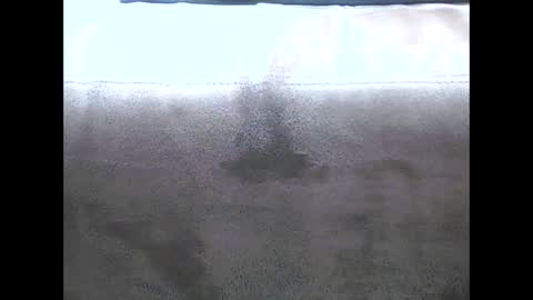 danyvdh online show from 12.13.24