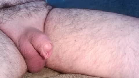 dapppper online show from 02.03.25