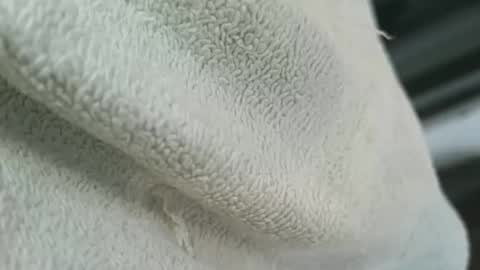 dapppper online show from 03.04.26