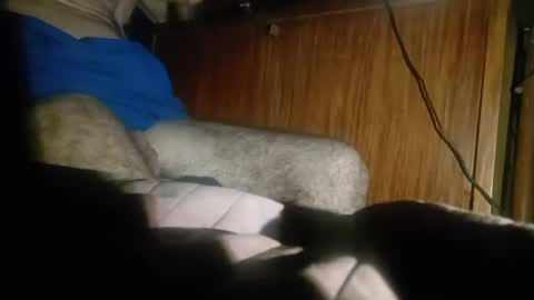 dario48 online show from 12.20.24