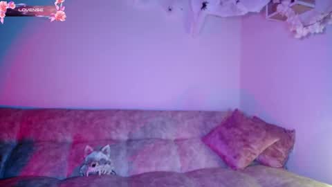 Snapshot of dark__nymph chatting on 10.30.25 Dark online show from 10.30.25