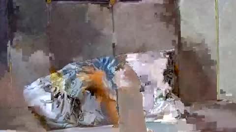 Snapshot of dark_candy254 chatting on 12.13.24 Dark Candy 254 online show from 12.13.24