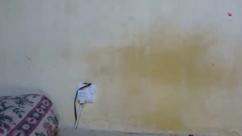 dark_princess1 online show from 10.08.25