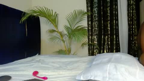 Tiff online show from 12.23.25