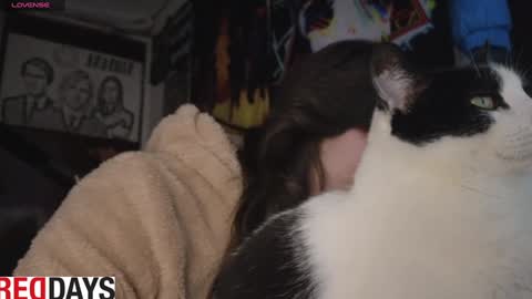 Darkness online show from 01.22.25