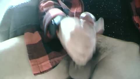 Dartrok online show from 02.17.25