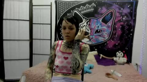 daryimiau online show from 04.11.26