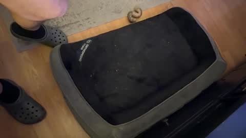 Snapshot of datguy127 chatting on 02.18.25 Datguy127 online show from 02.18.25