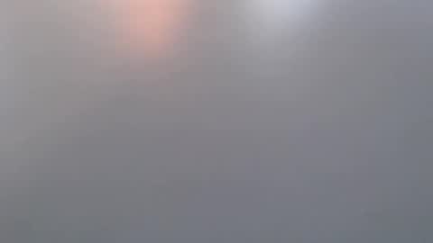 davdao3 online show from 03.19.26