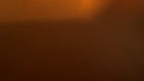 davdao3 online show from 03.23.26