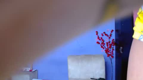 Snapshot of david778302 chatting on 09.13.25 Noha online show from 09.13.25