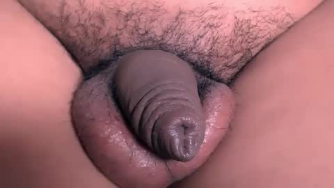 david_hotters online show from 10.02.25