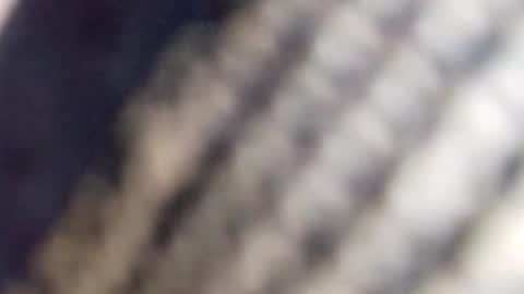 david_stone1969 online show from 01.23.25