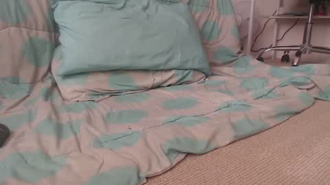 dav online show from 12.02.24