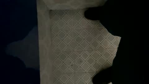 Snapshot of davzsoher chatting on 01.06.25 davzsoher online show from 01.06.25