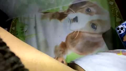 Snapshot of davzsoher chatting on 01.10.25 davzsoher online show from 01.10.25