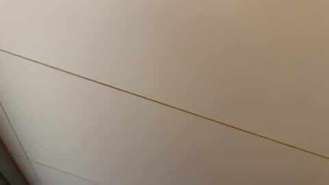 Hornybear online show from 02.27.26