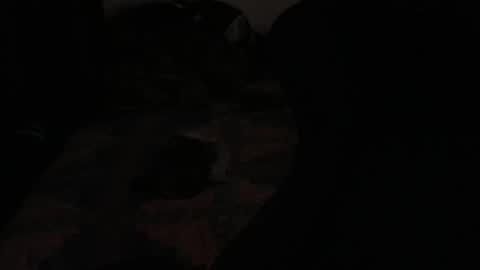 Snapshot of ddc444 chatting on 11.23.25 DC online show from 11.23.25