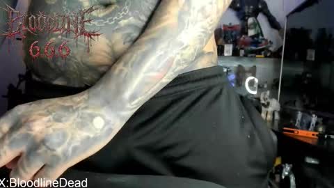    online show from 03.28.26