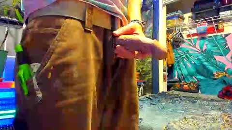 delightfuldance online show from 12.23.25