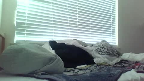 delightfuldark online show from 02.15.25