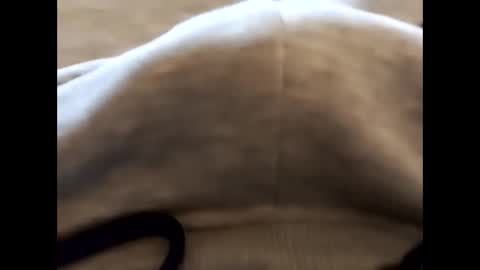 deliv_shopi online show from 02.22.26