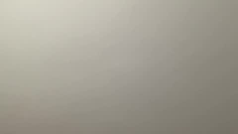 Delivery      online show from 12.19.24