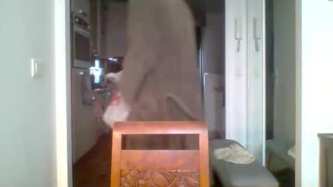 demundu online show from 11.17.25