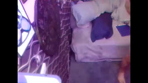 Snapshot of denveversbb chatting on 10.05.25 denveversbb online show from 10.05.25