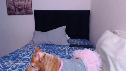 Derek online show from 03.02.25