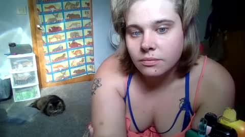 devykitten online show from 07.02.26