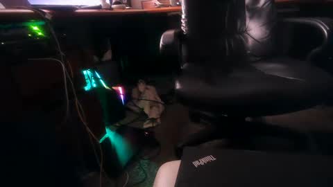 dfwgonewrong online show from 02.04.25