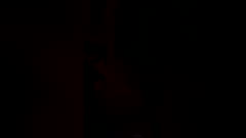 dherr568 online show from 02.16.26