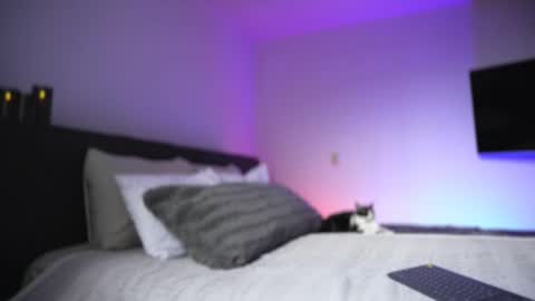 Diego online show from 11.26.25