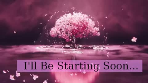 Daphne Sophia Vega online show from 04.03.26