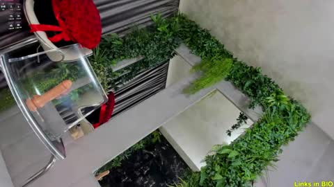 Jo online show from 02.08.25