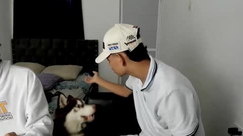 dick online show from 12.02.25