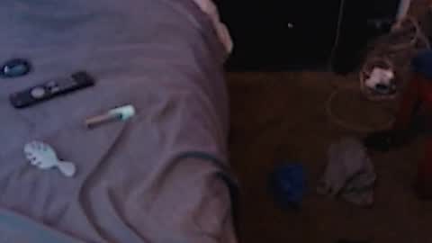 Sparkx online show from 12.03.24