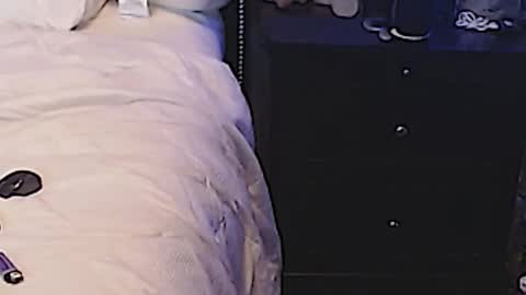 Sparkx online show from 03.11.25