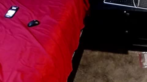 Sparkx online show from 09.28.25